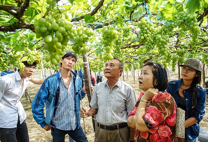 ninh thuan uu tien moi goi dau tu vao cac du an phat trien du lich