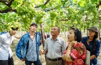 Ninh Thuận ưu tiên mời gọi đầu tư vào các dự án phát triển du lịch