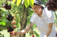 Phát triển tài nguyên bản địa bằng sức mạnh công nghệ