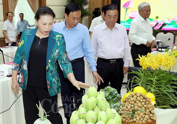 Đồng Tháp: Xây dựng ngành hàng chủ lực theo chiều sâu, nâng cao giá trị gia tăng sản phẩm nông nghiệp dong thap can xay dung nganh hang chu luc theo chieu sau nang cao gia tri gia tang san pham nong nghiep