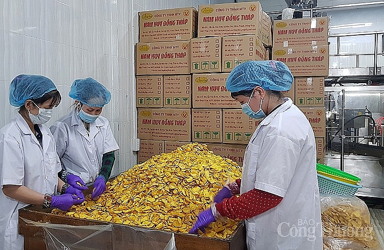 Đồng Tháp: Sản xuất công nghiệp khởi sắc, lấy lại đà tăng trưởng