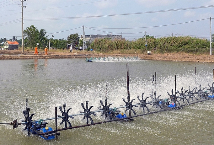 Điểm sáng trong xây dựng nông thôn mới diem sang trong xay dung nong thon moi