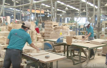 Bình Dương: Tháo gỡ khó khăn, vướng mắc cho các doanh nghiệp phục hồi sản xuất