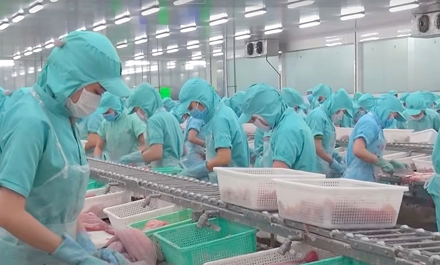 Đồng Tháp từng bước phục hồi sản xuất công nghiệp