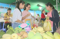 Đồng Tháp đẩy mạnh quảng bá hàng nông sản tại TP. Hồ Chí Minh