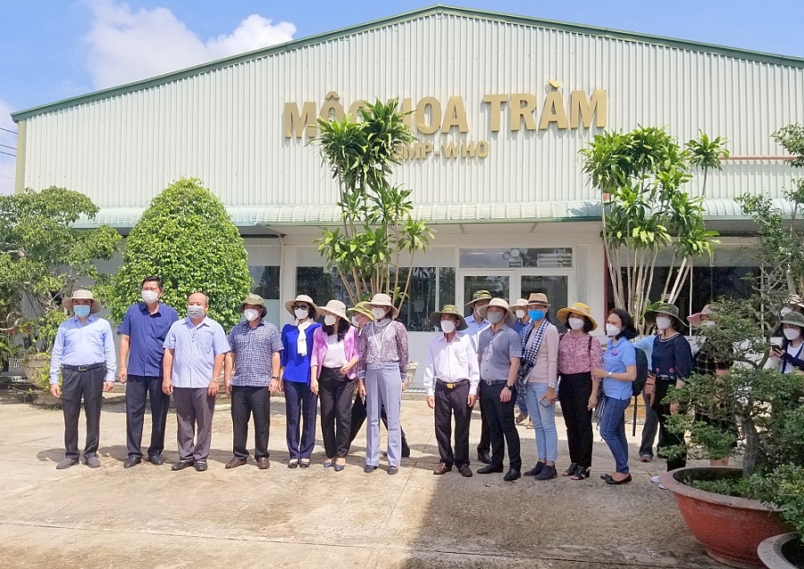 TP. Hồ Chí Minh thúc đẩy liên kết phát triển du lịch với Long An và Bến Tre