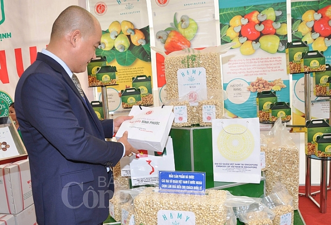 binh phuoc nam 2019 kinh te dat muc tang truong cao nhat