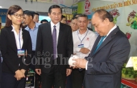Tiền Giang: Ngành công nghiệp chế biến, chế tạo đóng vai trò chủ chốt