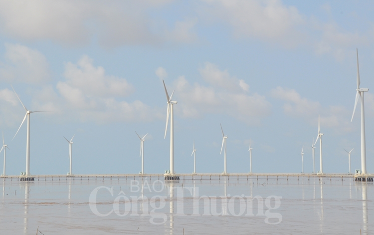 Bạc Liêu cần khai thác tối đa tiềm năng nguồn năng lượng tái tạo bac lieu can khai thac toi da tiem nang nguon nang luong tai tao