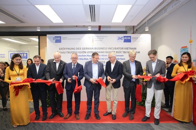 vuon uom doanh nghiep duc tai viet nam di vao hoat dong