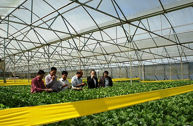 phat trien nong nghiep ung dung cong nghe cao da gat hai thanh qua