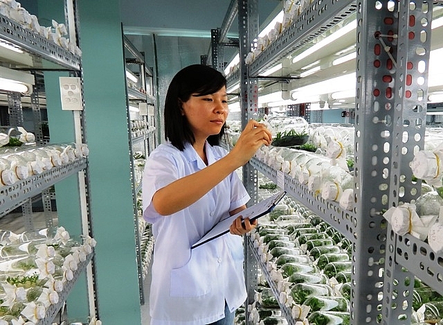 noi den hap dan cho cac startup nong nghiep cong nghe cao