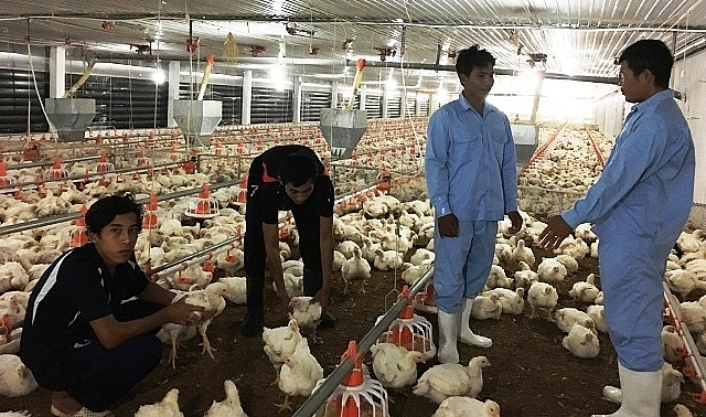 Tăng thị phần và doanh thu khi chú trọng đầu tư an toàn thực phẩm tang thi phan va doanh thu khi chu trong dau tu an toan thuc pham