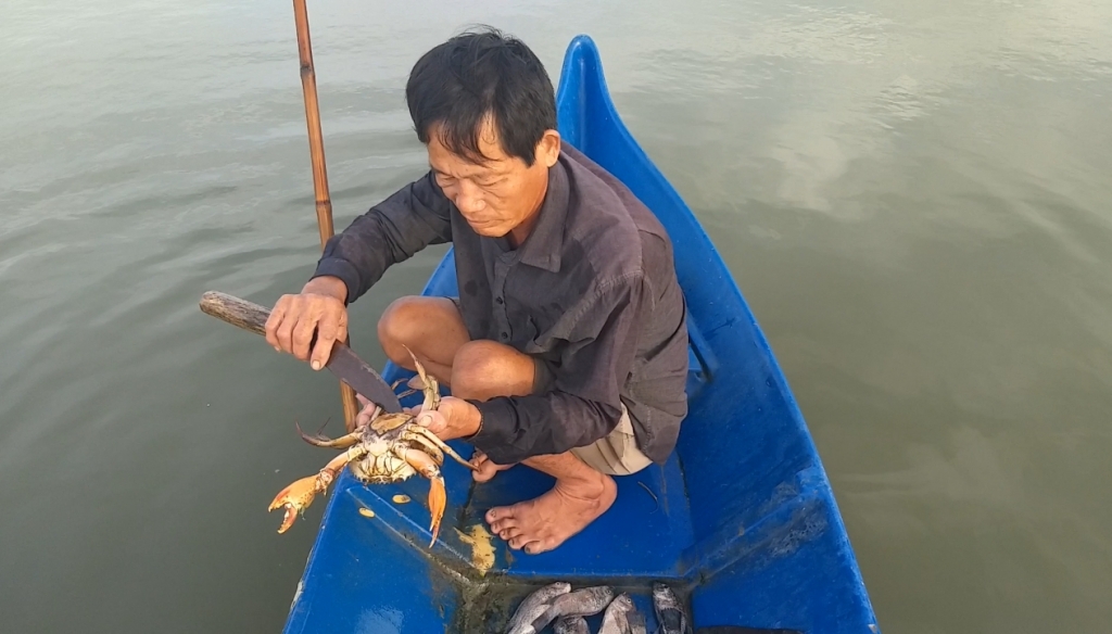 gia cua ca mau nhay mua trong nhung ngay can ke tet