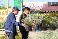 Đồng Tháp và Tiền Giang dừng đón khách du lịch nước ngoài