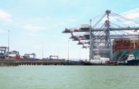 TP. Hồ Chí Minh: Doanh thu ngân sách từ xuất nhập khẩu tháng 1 giảm hơn 32%