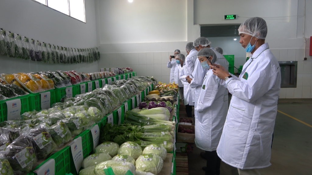 Cơ hội mở cho rau quả Lâm Đồng sang Singapore day manh ket noi giao thuong linh vuc rau cu qua