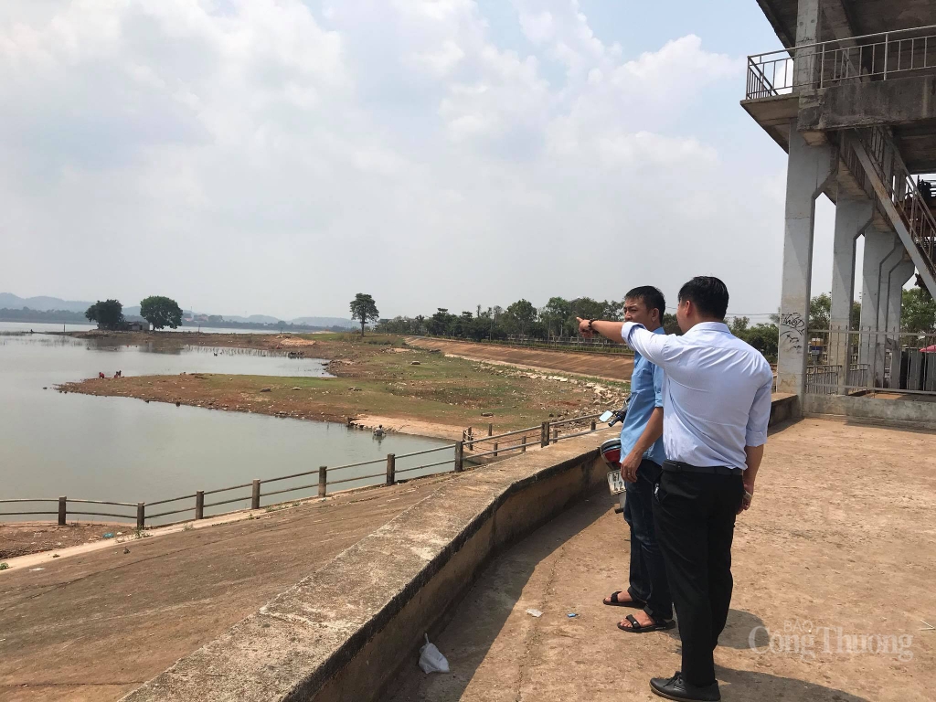 hang nghin hecta hoa mau o tay nguyen nguy co chet khat