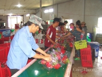Long An: Đẩy mạnh quảng bá sản phẩm đặc trưng