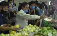 Tái cơ cấu, đa dạng hóa thị trường nông sản