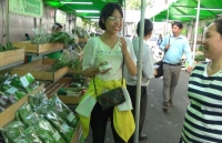 TP. Hồ Chí Minh: Thành lập 40 doanh nghiệp mới trong lĩnh vực nông, lâm, thủy sản