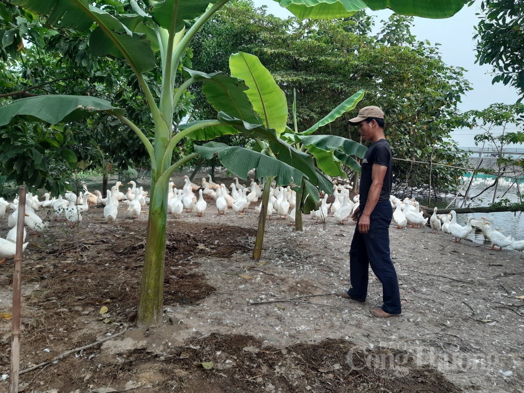 thua thien hue ho tro tieu thu san pham nong nghiep qua san thuong mai dien tu