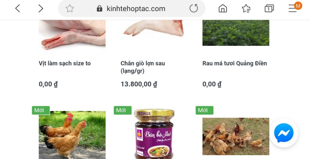 thua thien hue ho tro tieu thu san pham nong nghiep qua san thuong mai dien tu