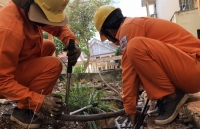 PC Đắk Lắk: Tăng cường tiết kiệm điện trong cao điểm mùa khô