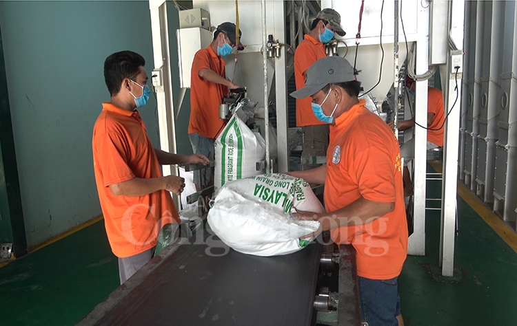 can canh cac nha may che bien gao lon nhat dong bang song cuu long