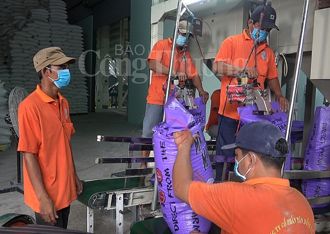 can canh cac nha may che bien gao lon nhat dong bang song cuu long