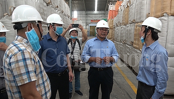 can canh cac nha may che bien gao lon nhat dong bang song cuu long