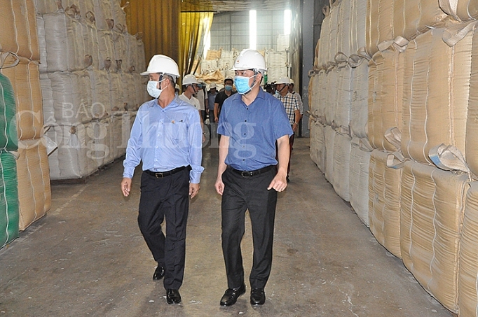 can canh cac nha may che bien gao lon nhat dong bang song cuu long