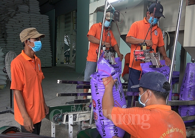 can canh cac nha may che bien gao lon nhat dong bang song cuu long