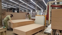 Quảng Trị “tiếp sức” cho ngành công nghiệp chế biến gỗ