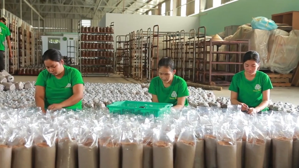 tp ho chi minh nhieu ket qua kha quan trong san xuat nong nghiep