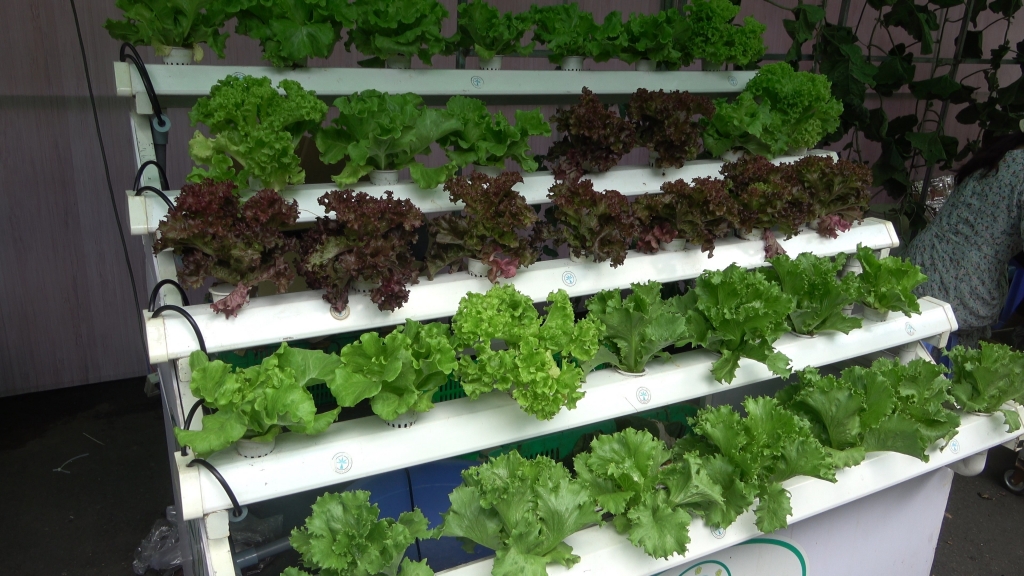 tpho chi minh phat trien nong nghiep cong nghe cao ben vung