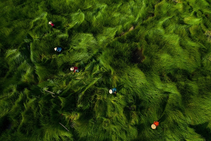 can canh nhung buc anh dep me hon nhin tu tren khong