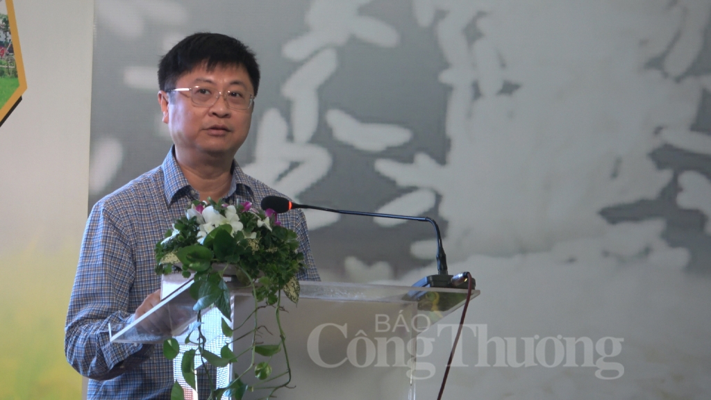 Cần Thơ: Nâng cao năng suất và chất lượng gạo can tho nang cao nang suat va chat luong gao