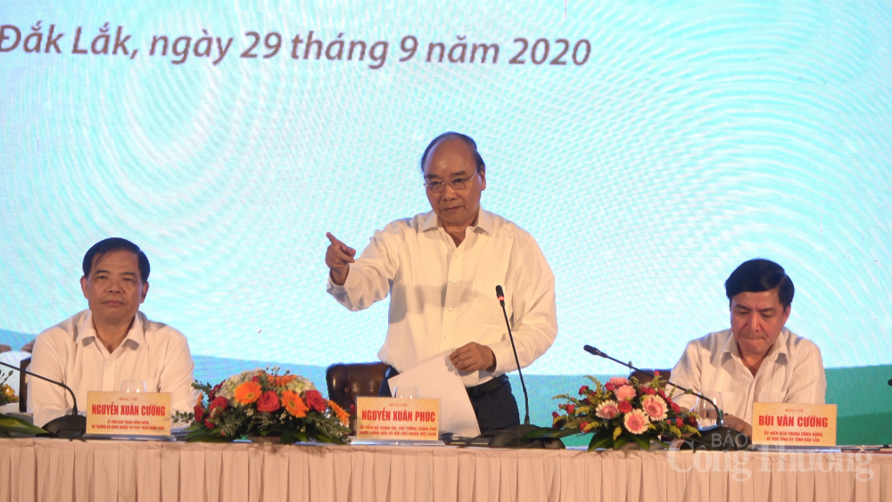 undefined 0051-hn-macca-1