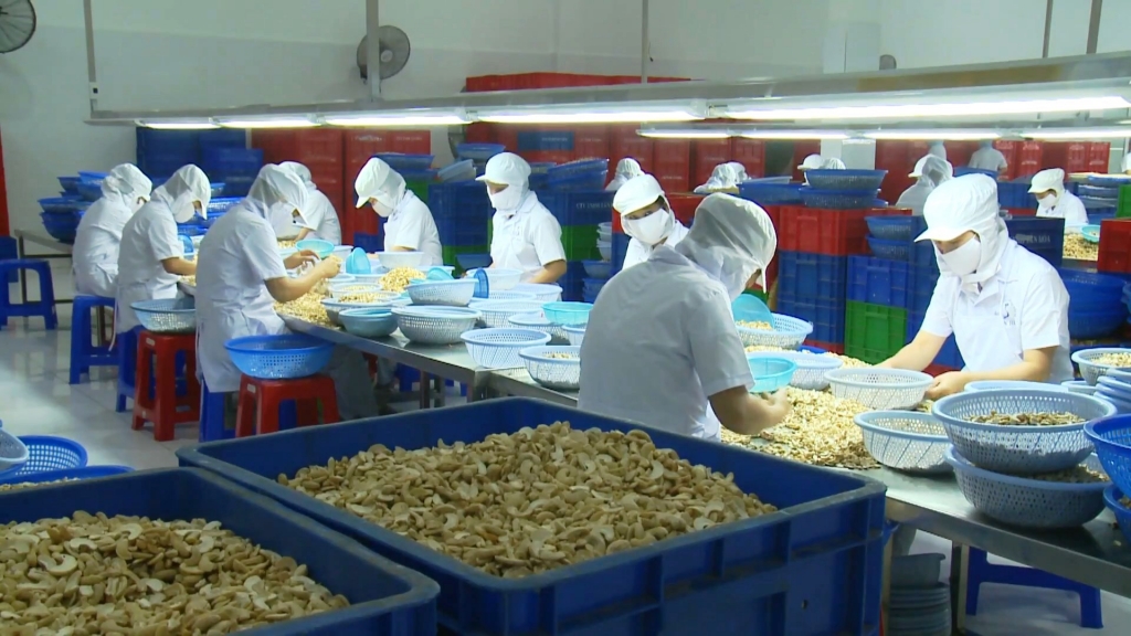 9 tháng: Chỉ số phát triển công nghiệp tỉnh Long An tăng 16,03% 9 thang chi so phat trien cong nghiep tinh long an tang 1603