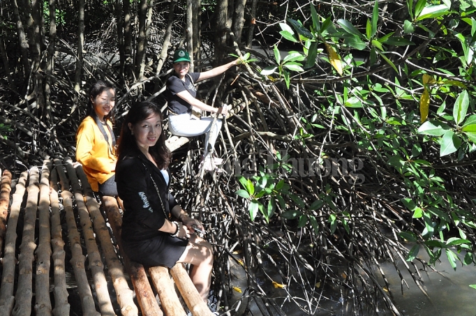 den ca mau trai nghiem du lich sinh thai cong dong