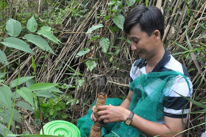 den ca mau trai nghiem du lich sinh thai cong dong