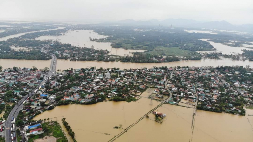 undefined 0953-plycam