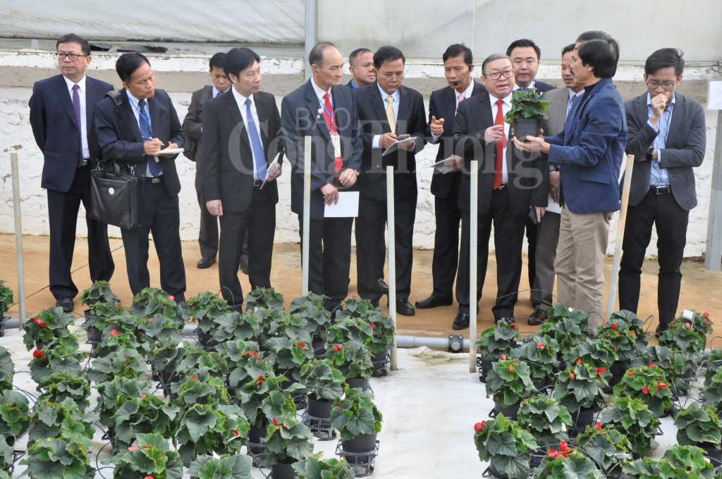 Đưa hoa Đà Lạt hội nhập thị trường quốc tế phat trien hoa da lat tung buoc hoi nhap thi truong quoc te