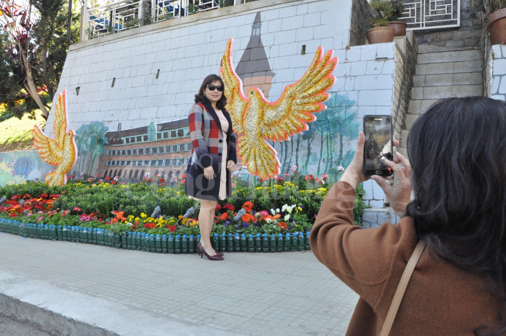 lam dong don hon 250 ngan luot khach trong dip festival hoa