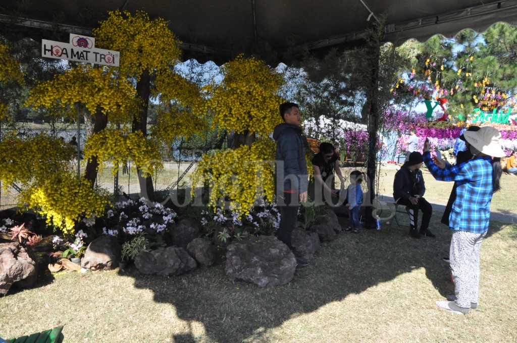 lam dong don hon 250 ngan luot khach trong dip festival hoa