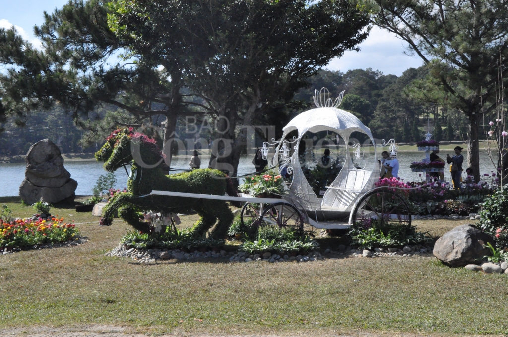 lam dong don hon 250 ngan luot khach trong dip festival hoa