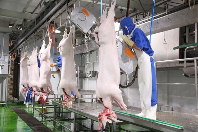 Đồng Nai: Đưa vào hoạt động nhà máy chế biến thực phẩm 7 triệu USD dong nai dua vao hoat dong nha may che bien thuc pham 7 trieu usd