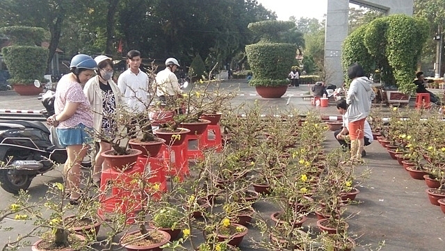 TP. Hồ Chí Minh: Nhộn nhịp mua sắm ngày ông Công, ông Táo tp ho chi minh nhon nhip mua sam ngay ong cong ong tao