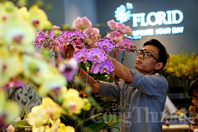 hoa xuan da ngap tran sac mau tren pho thi